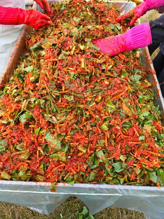 정연희님의 우리집 김장 자랑하기 · 참여글 작성글 사진