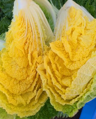 정주님의 김장 김치의 최고 조합은? · 참여글 작성글 사진