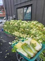 팜모닝 김장 김치의 최고 조합은?·참여글 게시글 이미지