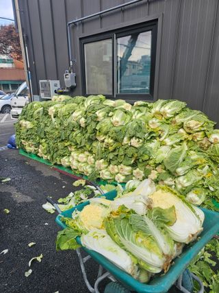 한원규님의 김장 김치의 최고 조합은? · 참여글 작성글 사진