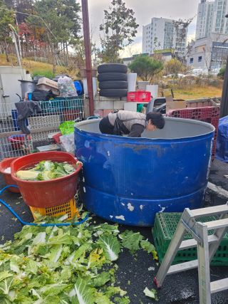 한원규님의 김장 김치의 최고 조합은? · 참여글 작성글 사진