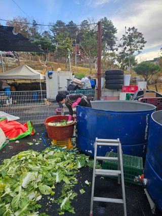 한원규님의 김장 김치의 최고 조합은? · 참여글 작성글 사진