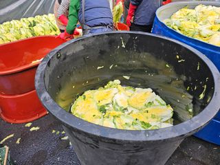 한원규님의 김장 김치의 최고 조합은? · 참여글 작성글 사진