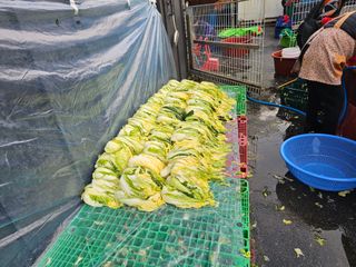 한원규님의 김장 김치의 최고 조합은? · 참여글 작성글 사진