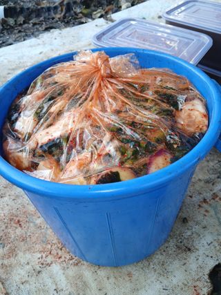 이우영원장농부님의 우리집 김장 자랑하기 · 참여글 작성글 사진