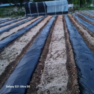 이천산수유님의 우리집 김장 자랑하기 · 참여글 작성글 사진