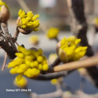 이천산수유님의 우리집 김장 자랑하기 · 참여글 작성글 사진