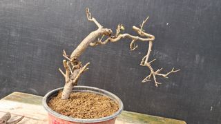 이정운님의 자유주제 · 자유게시판 작성글 사진