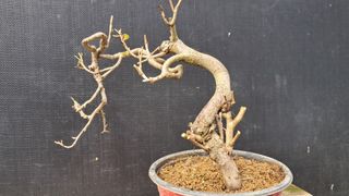 이정운님의 자유주제 · 자유게시판 작성글 사진