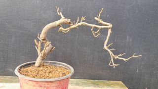 이정운님의 자유주제 · 자유게시판 작성글 사진