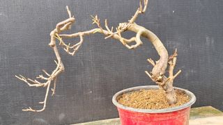 이정운님의 자유주제 · 자유게시판 작성글 사진