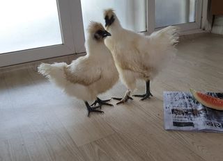 유진님의 자유주제 · 자유게시판 작성글 사진