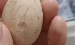 유진님의 자유주제 · 자유게시판 작성글 사진