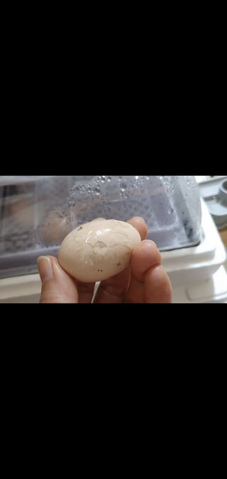 유진님의 자유주제 · 자유게시판 작성글 사진