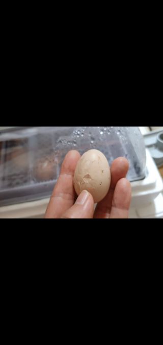 유진님의 자유주제 · 자유게시판 작성글 사진