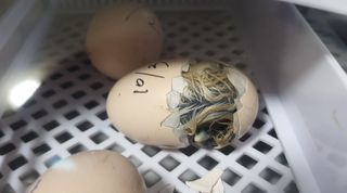 유진님의 자유주제 · 자유게시판 작성글 사진