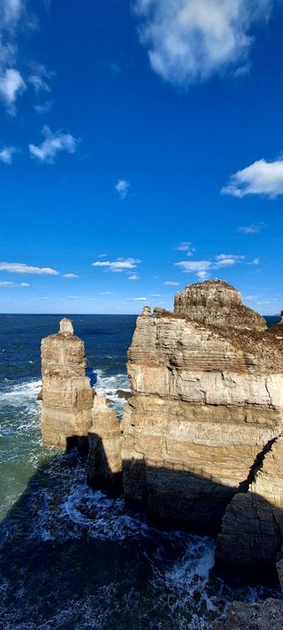 안재성님의 자유주제 · 자유게시판 작성글 사진