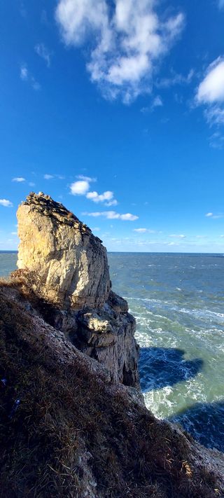 안재성님의 자유주제 · 자유게시판 작성글 사진
