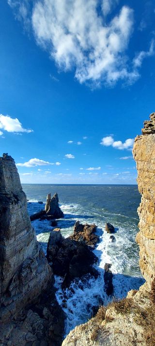 안재성님의 자유주제 · 자유게시판 작성글 사진