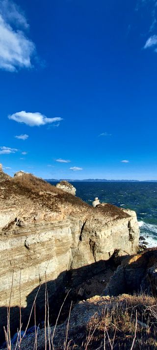 안재성님의 자유주제 · 자유게시판 작성글 사진