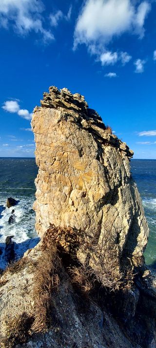 안재성님의 자유주제 · 자유게시판 작성글 사진