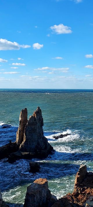 안재성님의 자유주제 · 자유게시판 작성글 사진