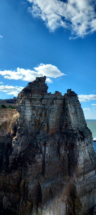 안재성님의 자유주제 · 자유게시판 작성글 사진