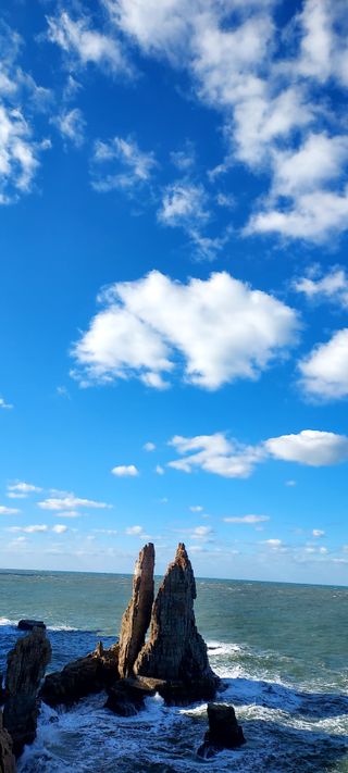 안재성님의 자유주제 · 사진전 작성글 사진