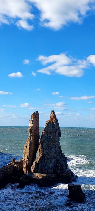 안재성님의 자유주제 · 사진전 작성글 사진