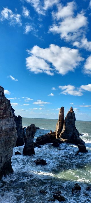 안재성님의 자유주제 · 사진전 작성글 사진
