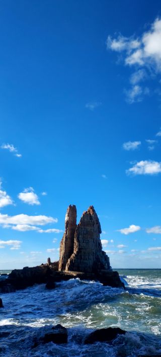 안재성님의 자유주제 · 사진전 작성글 사진