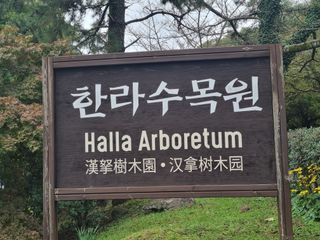 이송화님의 자유주제 · 자유게시판 작성글 사진