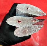 팜모닝 자유주제·자유게시판 게시글 이미지