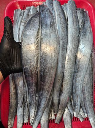 직송포유님의 자유주제 · 자유게시판 작성글 사진