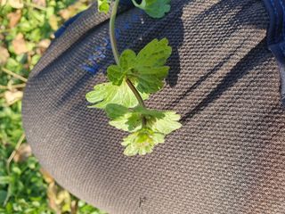 한상동님의 자유주제 · 자유게시판 작성글 사진