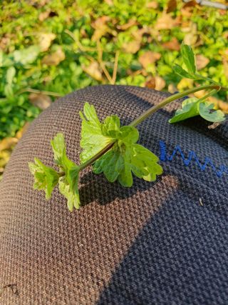 한상동님의 자유주제 · 자유게시판 작성글 사진