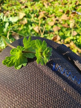 한상동님의 자유주제 · 자유게시판 작성글 사진