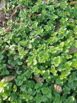 한상동님의 자유주제 · 자유게시판 작성글 사진