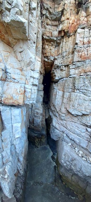 안재성님의 자유주제 · 사진전 작성글 사진