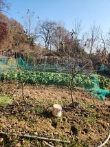 팜모닝 우리집 김장 자랑하기·참여글 게시글 이미지