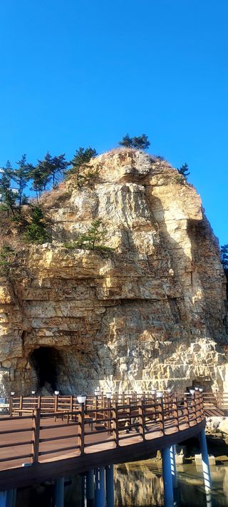 안재성님의 자유주제 · 자유게시판 작성글 사진