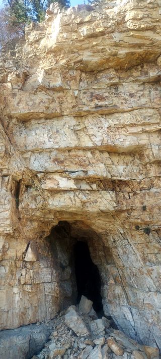 안재성님의 자유주제 · 자유게시판 작성글 사진