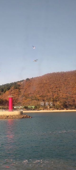 안재성님의 자유주제 · 자유게시판 작성글 사진