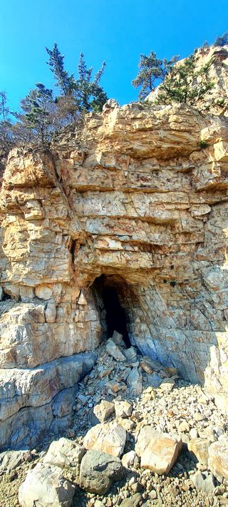 안재성님의 자유주제 · 자유게시판 작성글 사진