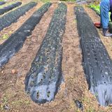 팜모닝 자유주제·자유게시판 게시글 이미지