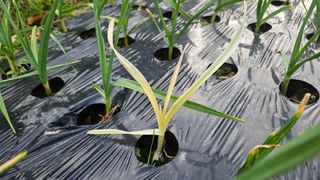 송정님의 자유주제 · 자유게시판 작성글 사진