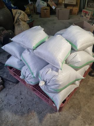 자두7424님의 배추 · 영농일지 작성글 사진