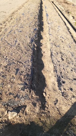 M세대로님의 자유주제 · 자유게시판 작성글 사진