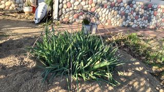 M세대로님의 자유주제 · 자유게시판 작성글 사진