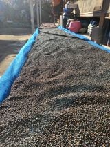 팜모닝 자유주제·자유게시판 게시글 이미지